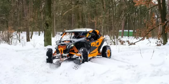 Екстрим на баггі