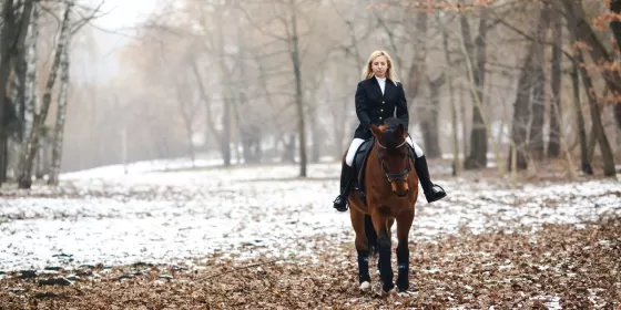 Кінна прогулянка