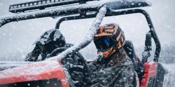 Прогулянка на баггі для двох