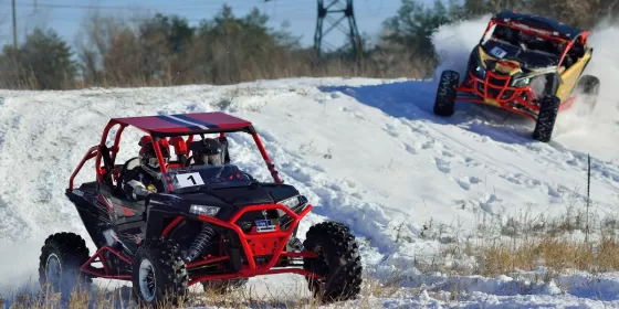 Екстрим на баггі