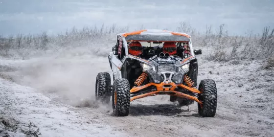 Прогулянка на баггі