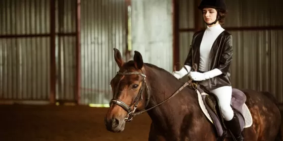 Абонемент на уроки з верхової їзди 