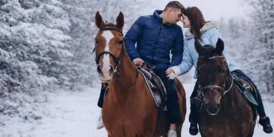 Кінна прогулянка лісом