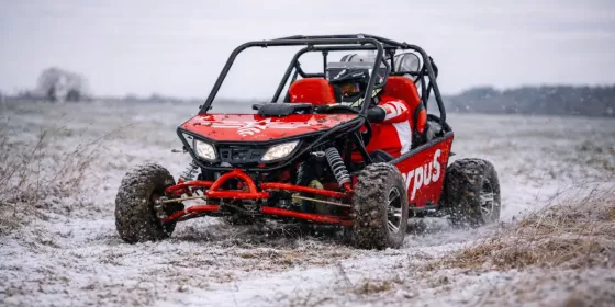 Екстрим на баггі