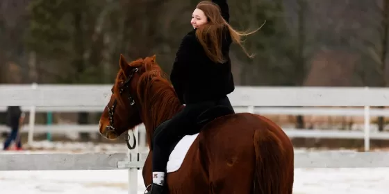 Кінна прогулянка