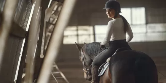 Урок верхової їзди