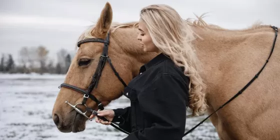 Фотосесія з конем