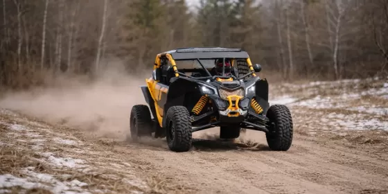 Прогулянка на баггі