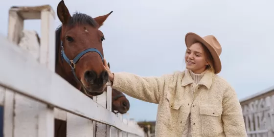 Екскурсія на конюшню та кінна прогулянка по лісі