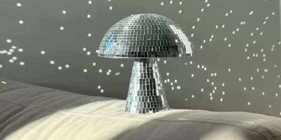 Майстер-клас зі створення диско-гриба