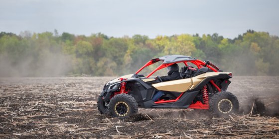 Прогулянка на баггі