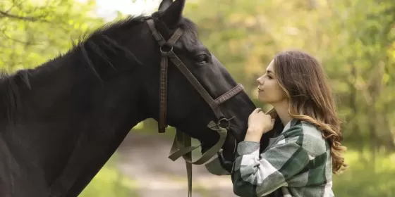 Кінна прогулянка 