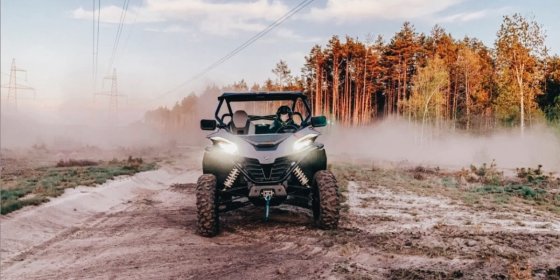 Прогулянка на баггі