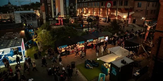 Закулісся фестивалю "Craft Beer & Vinyl Music Fest"